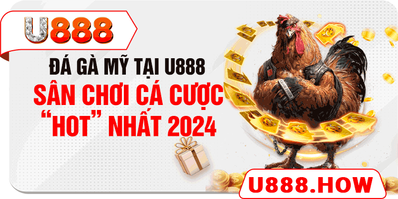 Đá gà Mỹ tại U888 - Sân chơi cá cược “HOT” nhất 2024