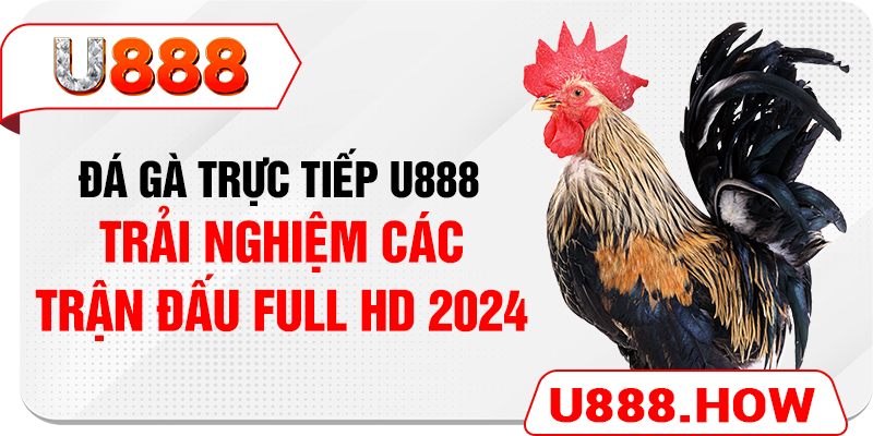 Đá Gà Trực Tiếp U888 - Trải Nghiệm Các Trận Đấu Full Hd 2024