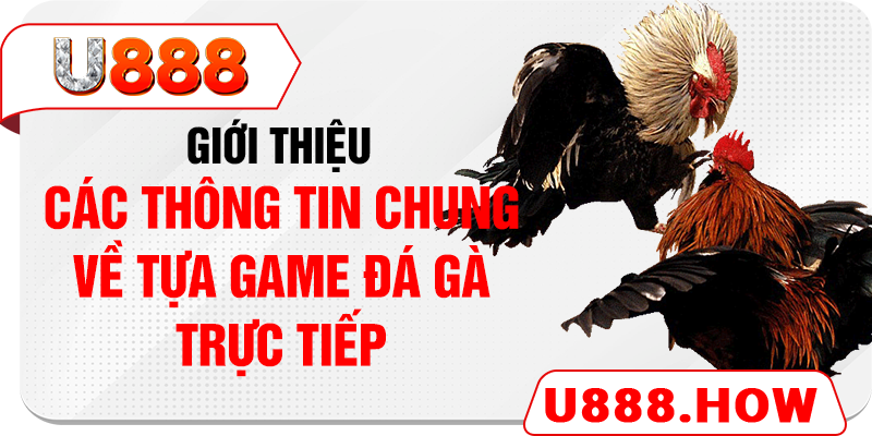 Giới thiệu các thông tin chung về tựa game đá gà trực tiếp